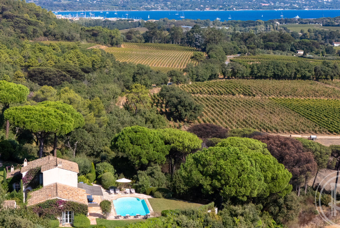 La Vigne, Gassin