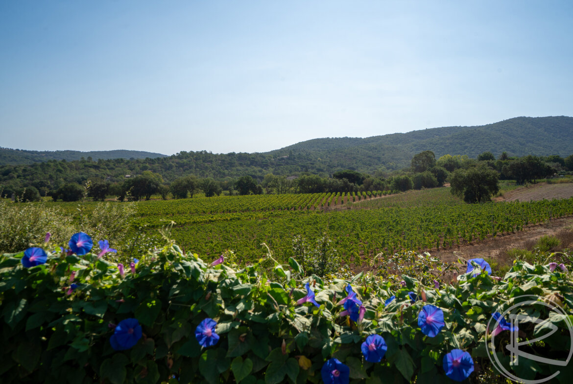 La Vigne, Gassin